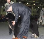 Превью фото № 9420