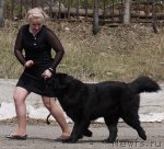 Превью фото № 94214