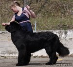 Превью фото № 94215