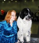 Превью фото № 9424