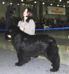 Превью фото № 9437