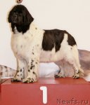 Превью фото № 94425