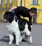 Превью фото № 94640