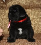 Превью фото № 94673