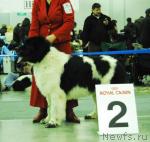 Превью фото № 9474