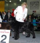 Превью фото № 9476