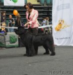 Превью фото № 95027