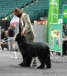 Превью фото № 95043