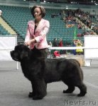 Превью фото № 95048