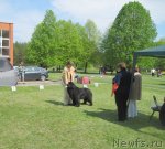 Превью фото № 95172