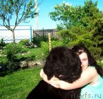 Превью фото № 95358