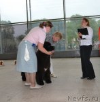 Превью фото № 95359