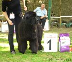 Превью фото № 95448