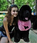 Превью фото № 95682