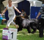 Превью фото № 95690