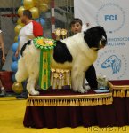 Превью фото № 95838