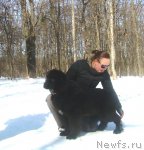 Превью фото № 95889