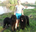 Превью фото № 96019