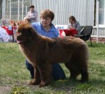 Превью фото № 96246