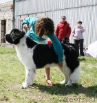 Превью фото № 96271