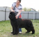 Превью фото № 96287