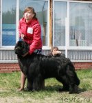 Превью фото № 96291