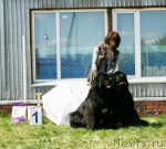 Превью фото № 96296