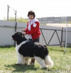 Превью фото № 96465