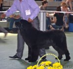 Превью фото № 96575