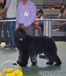 Превью фото № 96586