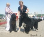 Превью фото № 96600