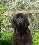 Превью фото № 96747