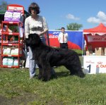 Превью фото № 96993