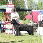 Превью фото № 97021