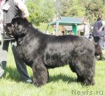 Превью фото № 97022