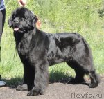 Превью фото № 97030