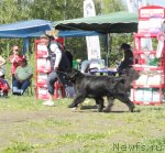 Превью фото № 97040