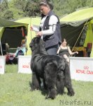 Превью фото № 97041