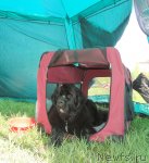 Превью фото № 97060