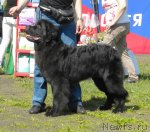 Превью фото № 97117