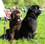 Превью фото № 97127