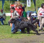 Превью фото № 97263