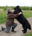 Превью фото № 97353