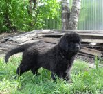 Превью фото № 97360