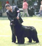 Превью фото № 97409