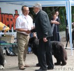 Превью фото № 97689