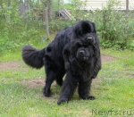 Превью фото № 97745