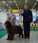 Превью фото № 97846