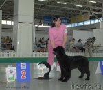 Превью фото № 97874