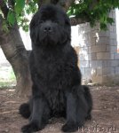 Превью фото № 97924